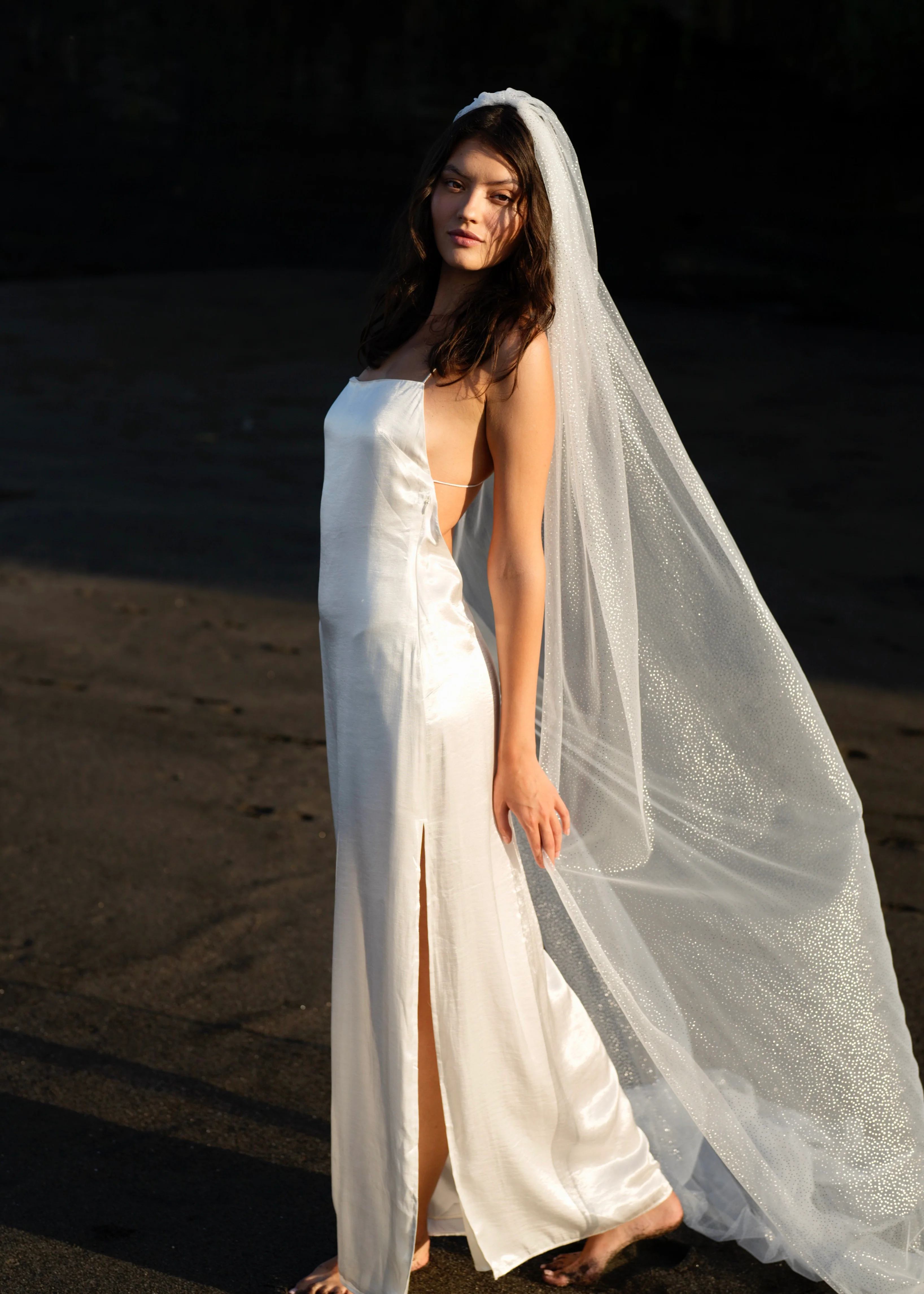 Glitter Veil, Cathedral Length, Single Tier - Image 6