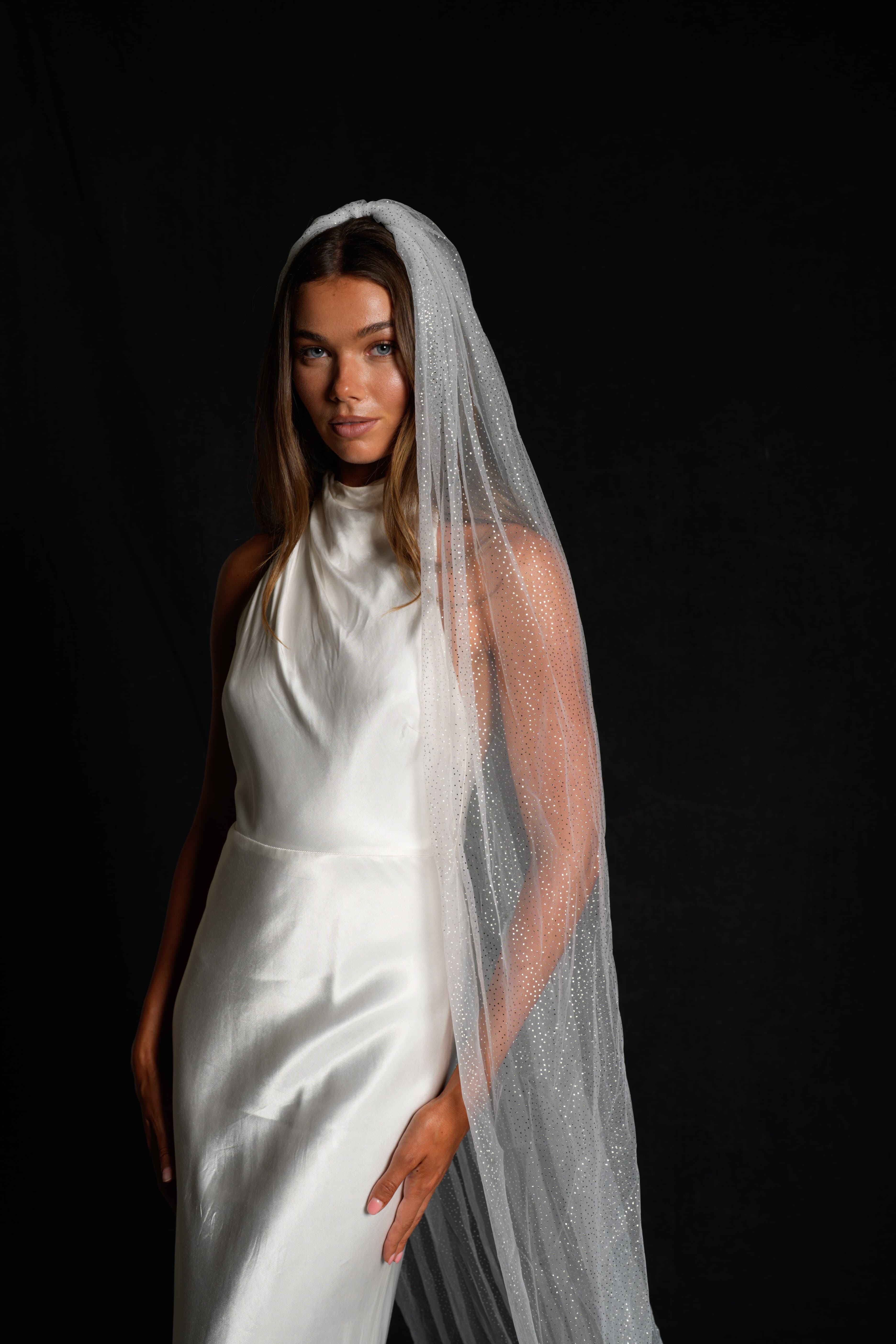 Glitter Veil, Cathedral Length, Single Tier - Image 8