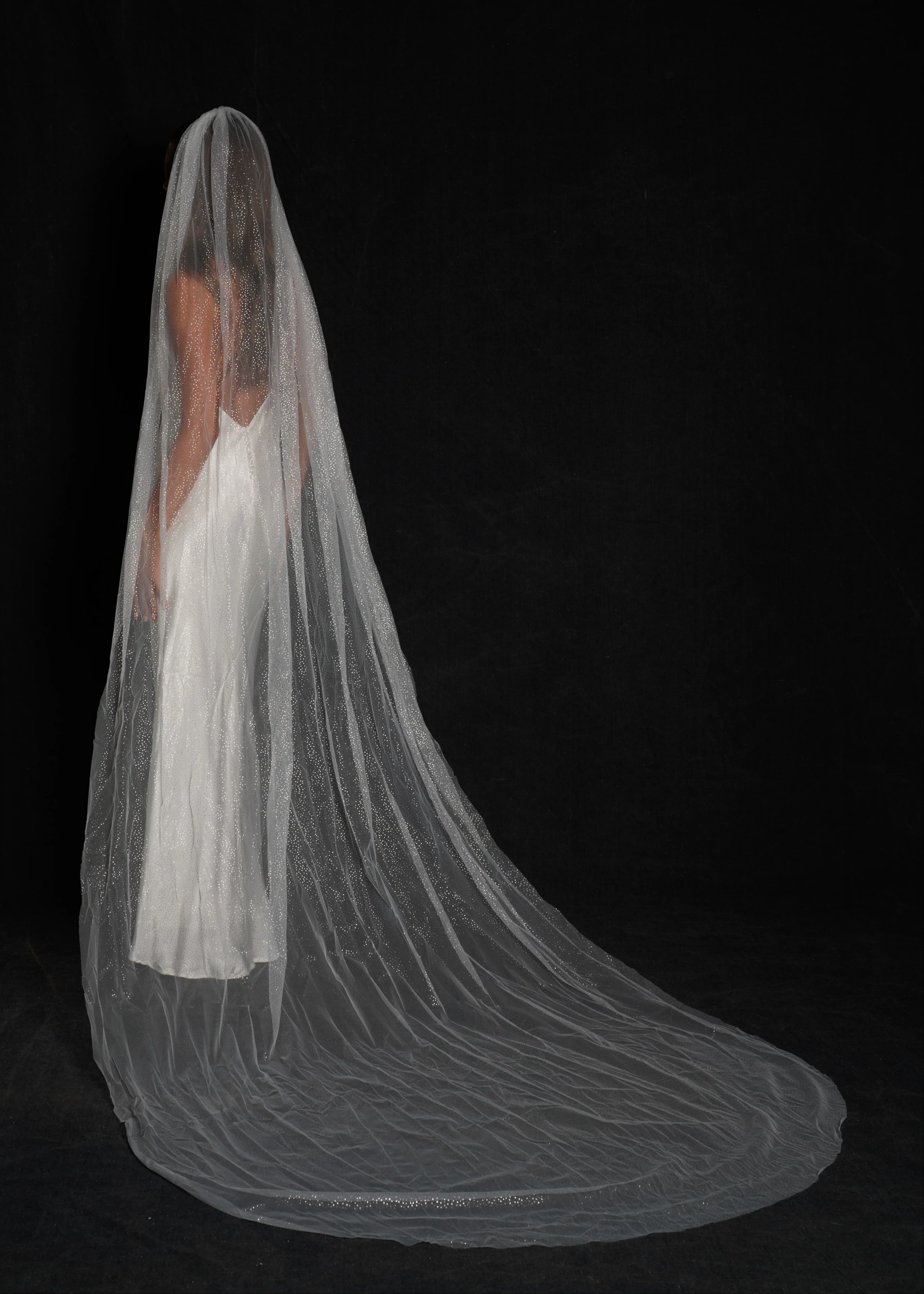 Glitter Veil, Cathedral Length, Single Tier - Image 9